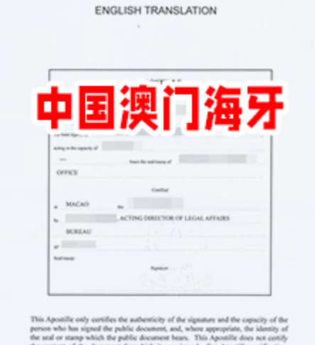 认证海牙全攻略：国际文件通行证，轻松解决跨国文件认证难题